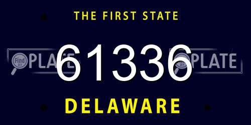 61336 Delaware License Plate