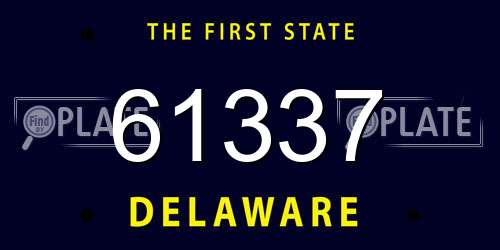 61337 Delaware License Plate