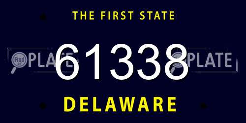 61338 Delaware License Plate