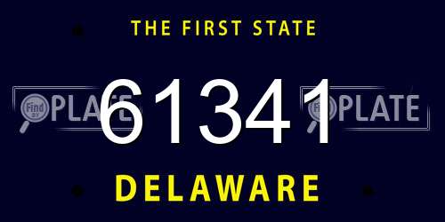 61341 Delaware License Plate