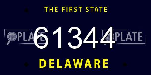 61344 Delaware License Plate