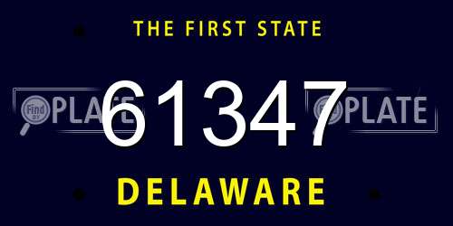 61347 Delaware License Plate