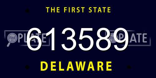 613589 Delaware License Plate