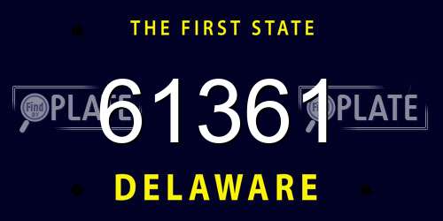61361 Delaware License Plate