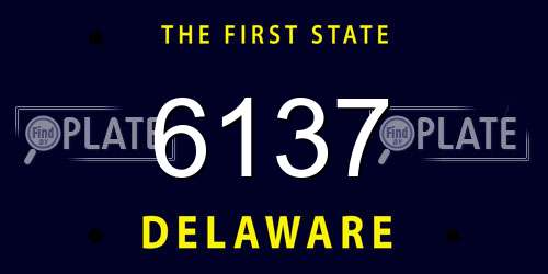 6137 Delaware License Plate