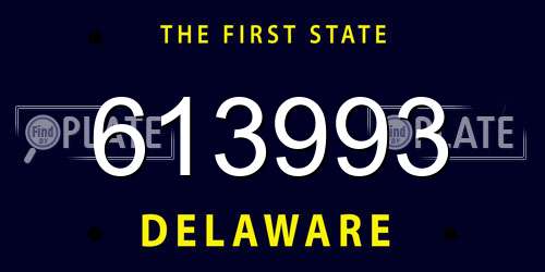613993 Delaware License Plate