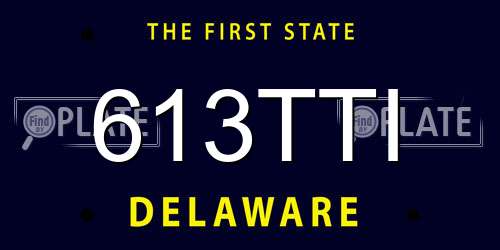 613TTI Delaware License Plate