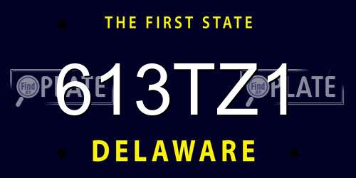 613TZ1 Delaware License Plate