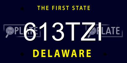 613TZI Delaware License Plate