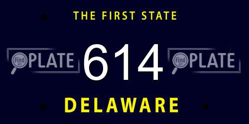 614 Delaware License Plate