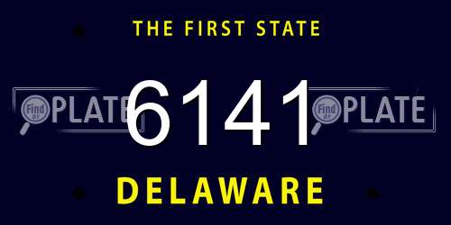 6141 Delaware License Plate