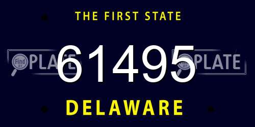 61495 Delaware License Plate