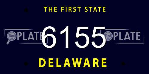 6155 Delaware License Plate
