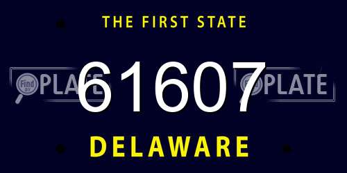 61607 Delaware License Plate