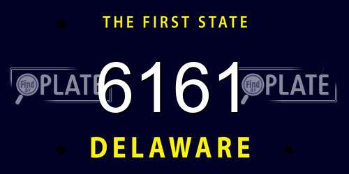6161 Delaware License Plate