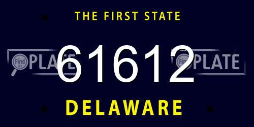 61612 Delaware License Plate