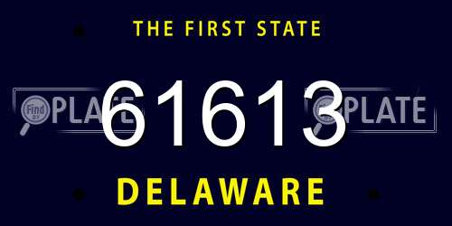 61613 Delaware License Plate