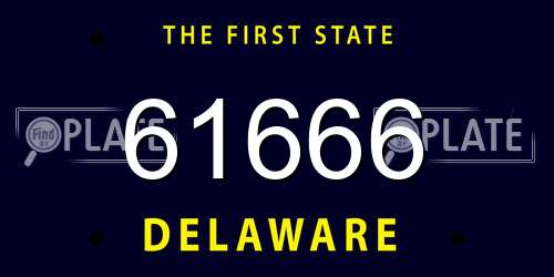 61666 Delaware License Plate