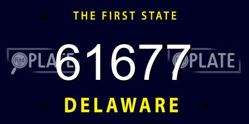 61677 Delaware License Plate