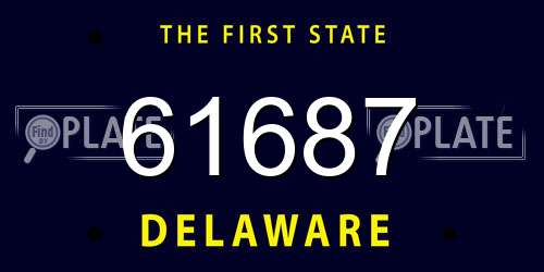 61687 Delaware License Plate