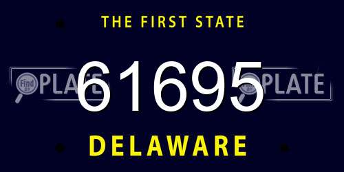 61695 Delaware License Plate