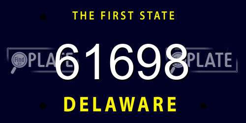 61698 Delaware License Plate