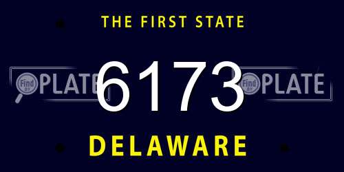 6173 Delaware License Plate