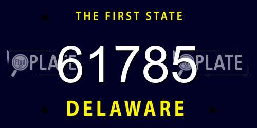 61785 Delaware License Plate