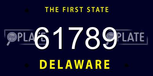 61789 Delaware License Plate