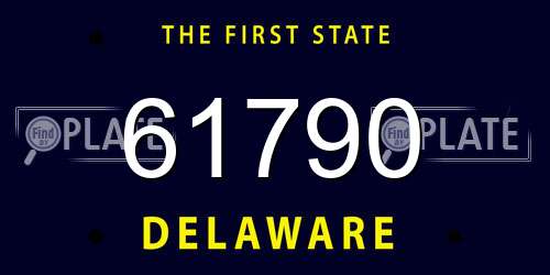 61790 Delaware License Plate