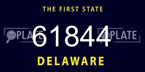 61844 Delaware License Plate
