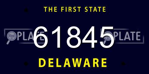 61845 Delaware License Plate