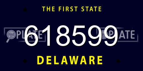 618599 Delaware License Plate