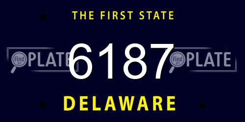 6187 Delaware License Plate