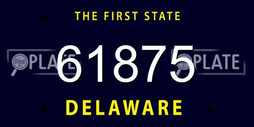 61875 Delaware License Plate
