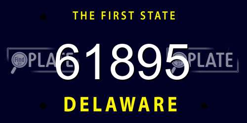 61895 Delaware License Plate
