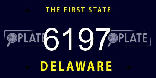 6197 Delaware License Plate