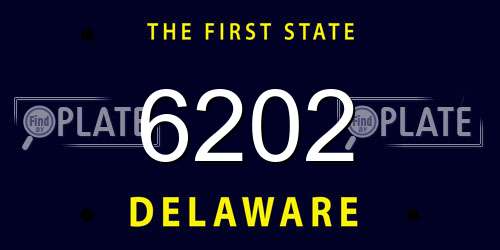 6202 Delaware License Plate