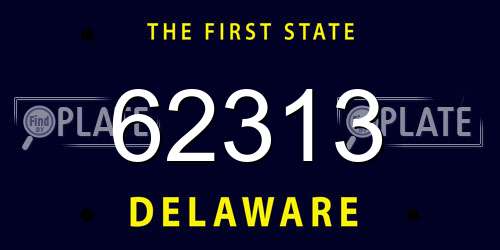62313 Delaware License Plate
