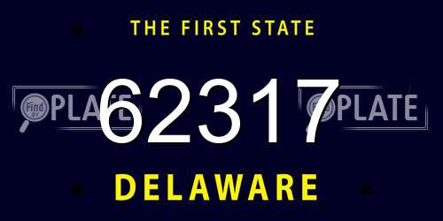 62317 Delaware License Plate