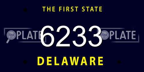 6233 Delaware License Plate