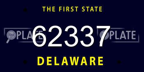 62337 Delaware License Plate