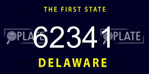 62341 Delaware License Plate