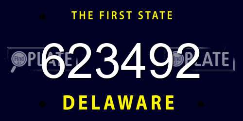 623492 Delaware License Plate