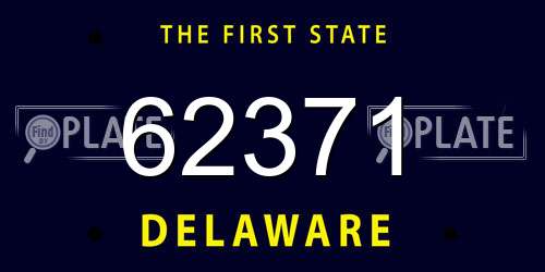 62371 Delaware License Plate