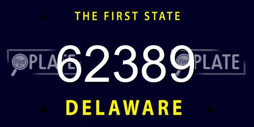 62389 Delaware License Plate