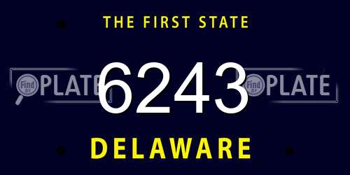 6243 Delaware License Plate