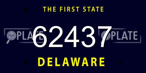 62437 Delaware License Plate