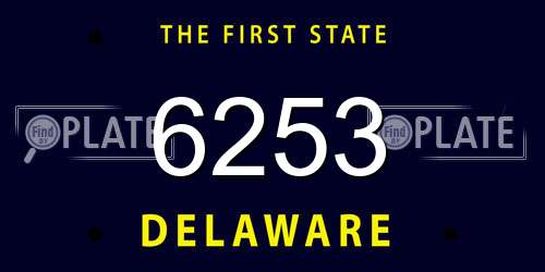 6253 Delaware License Plate