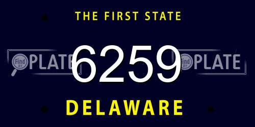 6259 Delaware License Plate